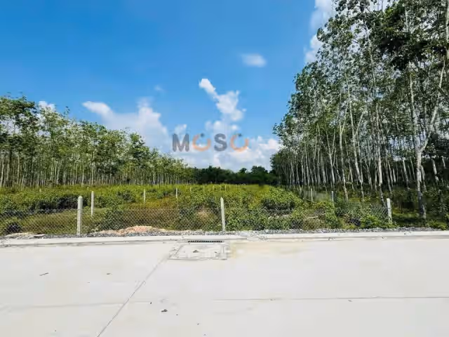 Bán đất Trung Lập Huyện Củ Chi, TP.HCM – giá 3.1 tỷ