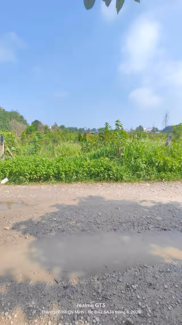 Bán đất An Tây 089 Thành phố Bến Cát, Bình Dương – giá 2.4 tỷ Bán đất An Tây 089 Thành phố Bến Cát, Bình Dương – giá 2.4 tỷ
