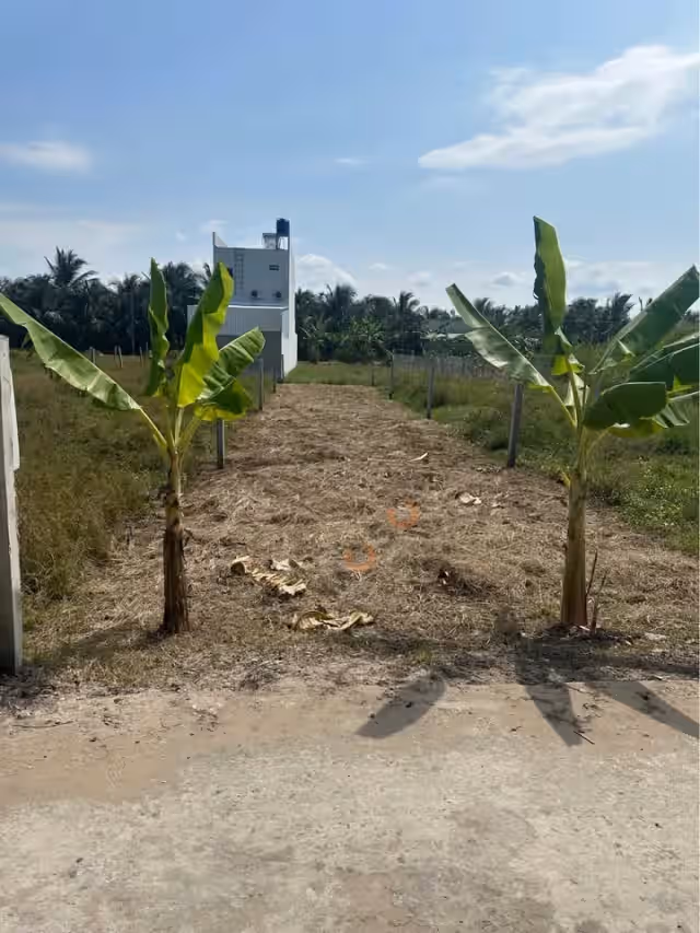 Bán đất hẻm đường Mỹ Hưng Thành phố Mỹ Tho, Tiền Giang – giá 750 triệu