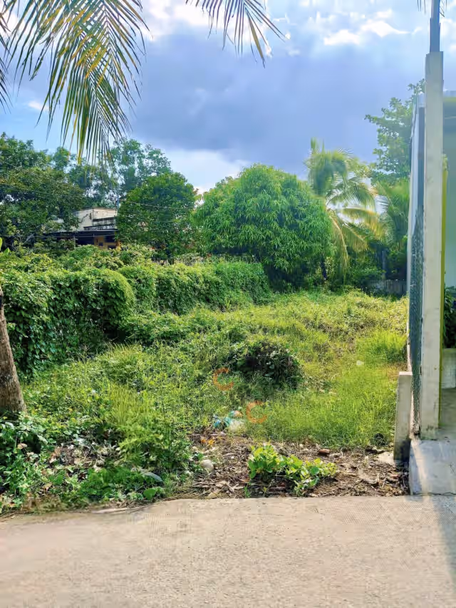 Bán đất Hẻm 646 Thành phố Tân An, Long An – giá 1.1 tỷ Bán đất Hẻm 646 Thành phố Tân An, Long An – giá 1.1 tỷ