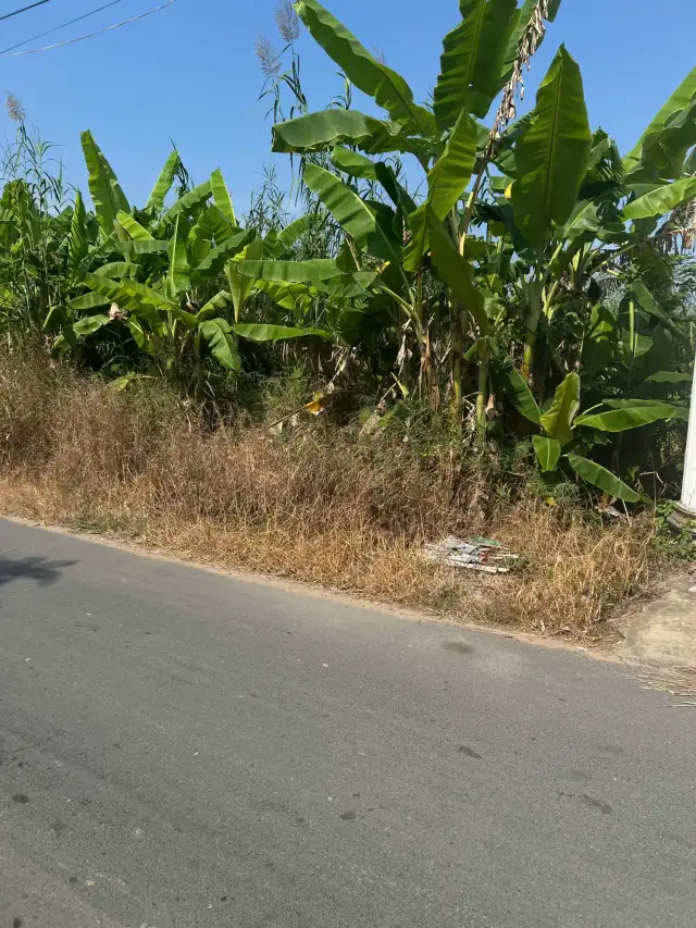Bán đất Nguyễn Viết Xuân Quận Bình Thuỷ, TP. Cần Thơ – giá 2.6 tỷ Bán đất Nguyễn Viết Xuân Quận Bình Thuỷ, TP. Cần Thơ – giá 2.6 tỷ