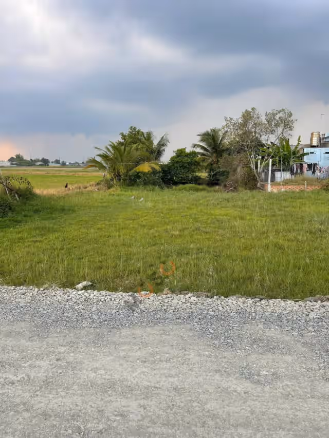 Bán đất đường Lập Thành Huyện Đức Hòa, Long An – giá 660 triệu Bán đất đường Lập Thành Huyện Đức Hòa, Long An – giá 660 triệu