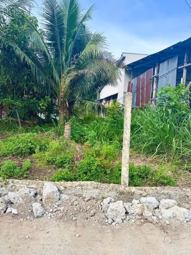 Bán đất thôn Xuân Phú 1  Huyện Diên Khánh, Khánh Hòa – giá 590 triệu
