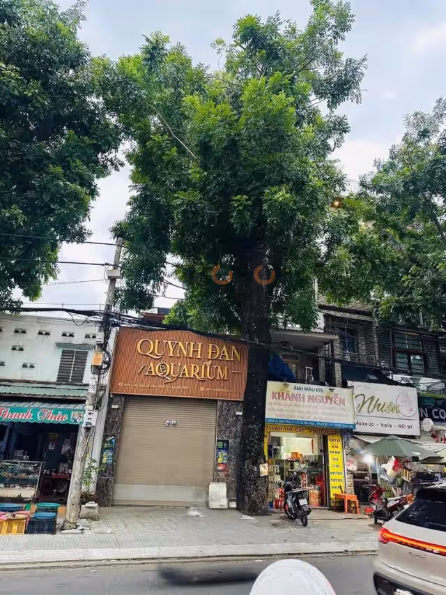 Cho thuê nhà mặt tiền Lê Văn Thọ Gò Vấp, TP.HCM – 4 phòng ngủ, giá 25 triệu