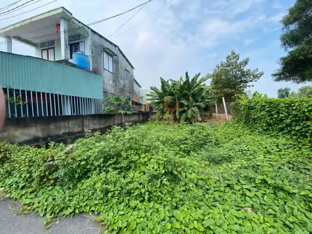 Bán đất Lê Hồng Phong Thành phố Thủ Dầu Một, Bình Dương – giá 3 tỷ Bán đất Lê Hồng Phong Thành phố Thủ Dầu Một, Bình Dương – giá 3 tỷ