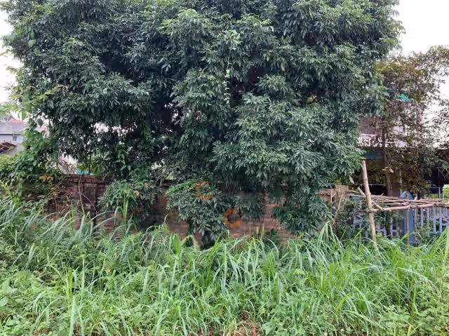 Bán đất Đất Khu 4 Huyện Phù Ninh, Phú Thọ – giá 1.2 tỷ