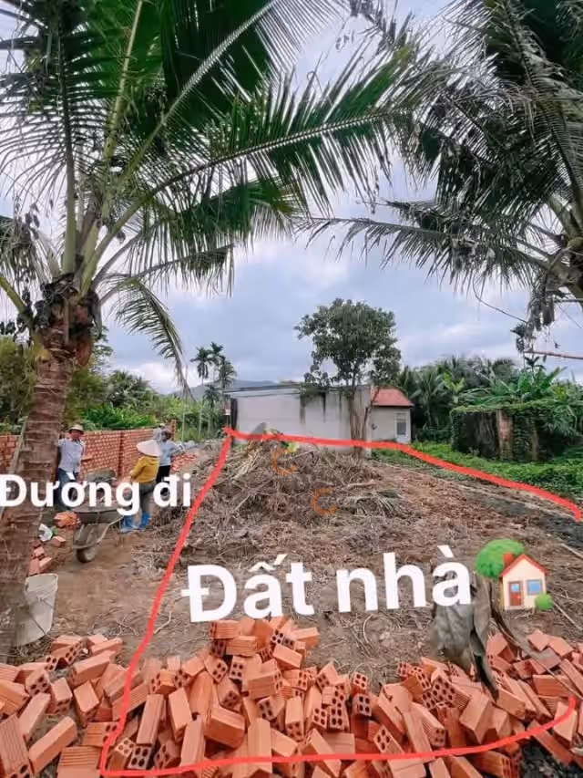 Bán đất Thôn Trung Nam Huyện Diên Khánh, Khánh Hòa – giá 790 triệu Bán đất Thôn Trung Nam Huyện Diên Khánh, Khánh Hòa – giá 790 triệu