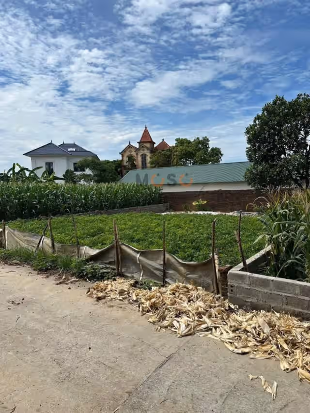 Bán đất thôn Xuân Thủy, hẻm đường Quốc Lộ 21  Huyện Chương Mỹ, TP. Hà Nội – giá 2.2 tỷ
