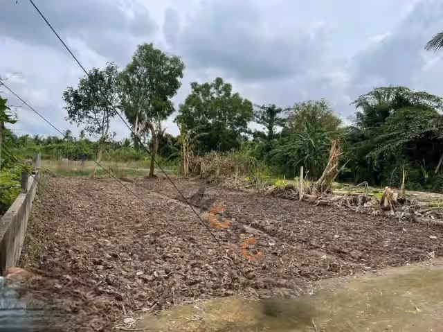 Bán đất KV Bình Dương Quận Bình Thuỷ, TP. Cần Thơ – giá 1.2 tỷ Bán đất KV Bình Dương Quận Bình Thuỷ, TP. Cần Thơ – giá 1.2 tỷ