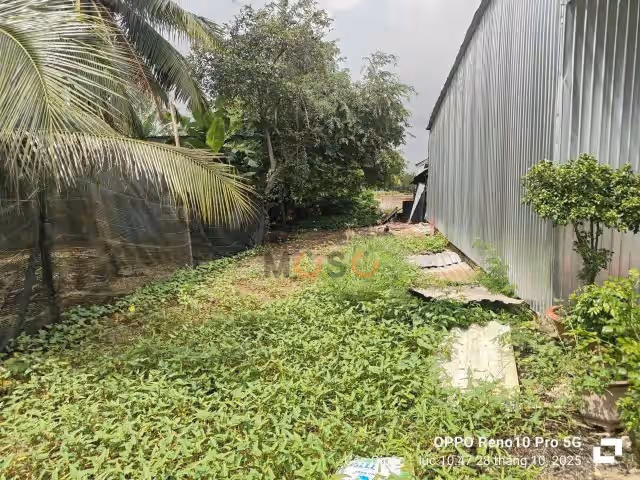 Bán đất Khu phố Hòa Thuận 2 Huyện Cần Giuộc, Long An – giá 750 triệu Bán đất Khu phố Hòa Thuận 2 Huyện Cần Giuộc, Long An – giá 750 triệu