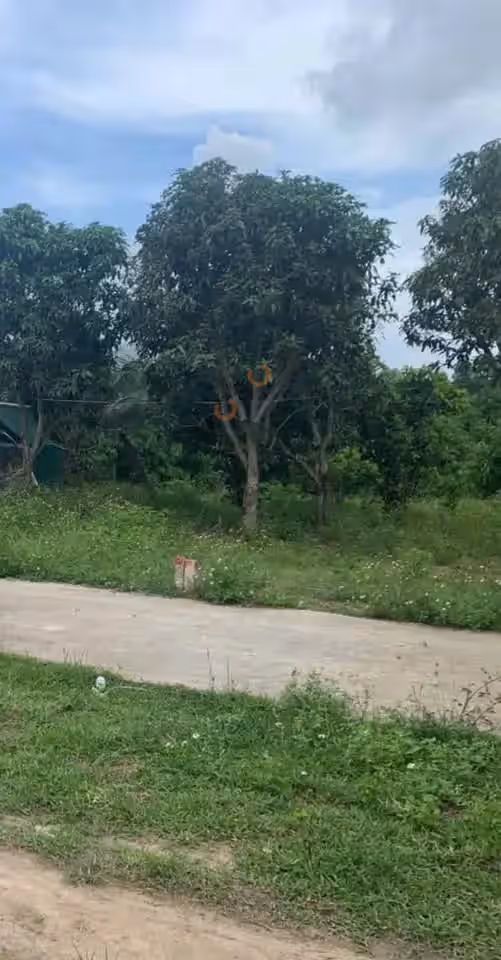 Bán đất thôn Xuân Phú Huyện Diên Khánh, Khánh Hòa – giá 380 triệu Bán đất thôn Xuân Phú Huyện Diên Khánh, Khánh Hòa – giá 380 triệu