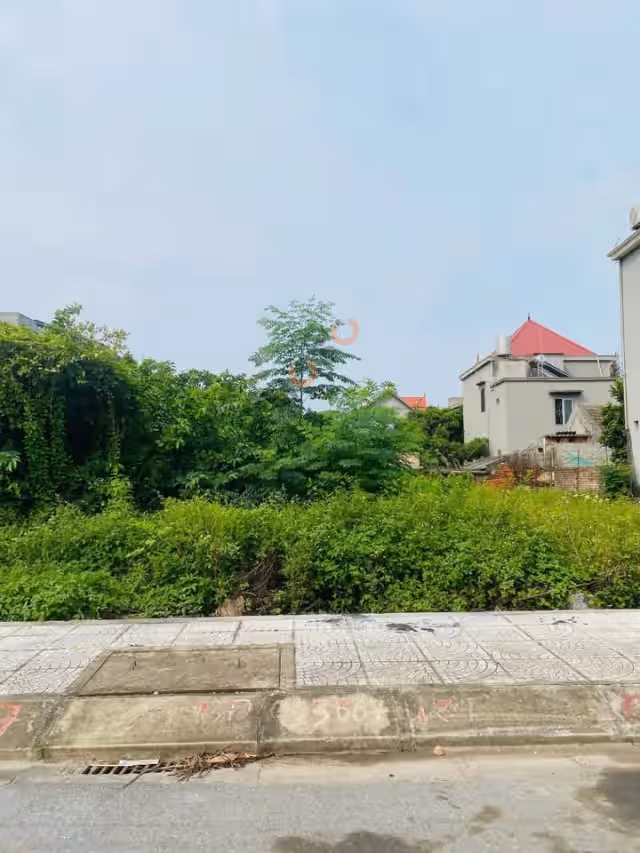 Bán đất Ngõ 81, TDP Tân Hợp Quận Dương Kinh, TP. Hải Phòng – giá 1.9 tỷ Bán đất Ngõ 81, TDP Tân Hợp Quận Dương Kinh, TP. Hải Phòng – giá 1.9 tỷ