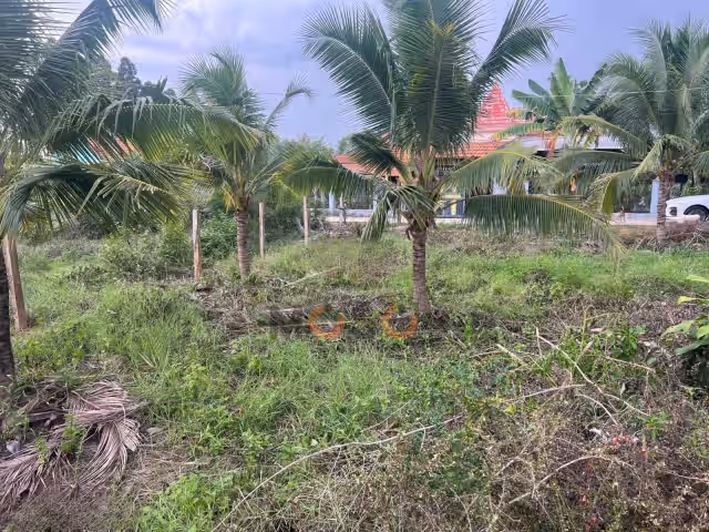 Bán đất Tỉnh Lộ 7, Thôn 3 Thị xã Ninh Hòa, Khánh Hòa – giá 530 triệu