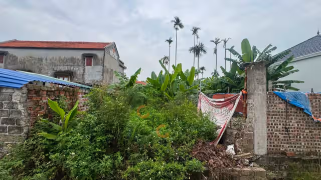 Bán đất Thôn Trại Dưới - Xóm Ngói Thành phố Thuỷ Nguyên, TP. Hải Phòng – giá 899 triệu Bán đất Thôn Trại Dưới - Xóm Ngói Thành phố Thuỷ Nguyên, TP. Hải Phòng – giá 899 triệu