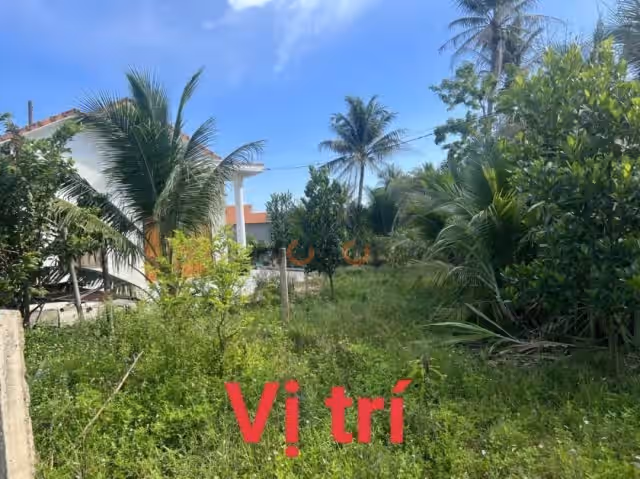 Bán đất đường ĐT 5 Thị xã Ninh Hòa, Khánh Hòa – giá 790 triệu