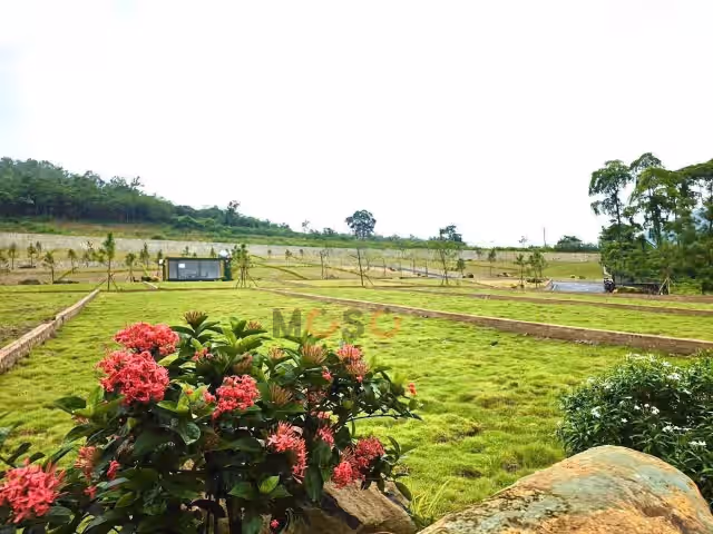 Bán đất Phú Mãn Huyện Quốc Oai, TP. Hà Nội – giá 4 tỷ Bán đất Phú Mãn Huyện Quốc Oai, TP. Hà Nội – giá 4 tỷ