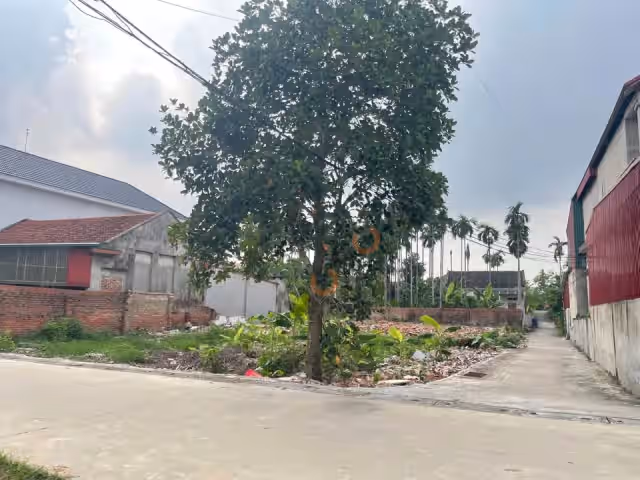 Bán đất ĐT 315, Khu 20 Huyện Tam Nông, Phú Thọ – giá 600 triệu