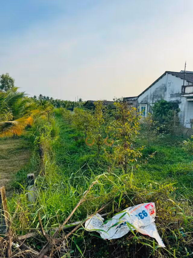 Bán đất Trần Văn Ngà Thành phố Tân An, Long An – giá 2.4 tỷ Bán đất Trần Văn Ngà Thành phố Tân An, Long An – giá 2.4 tỷ