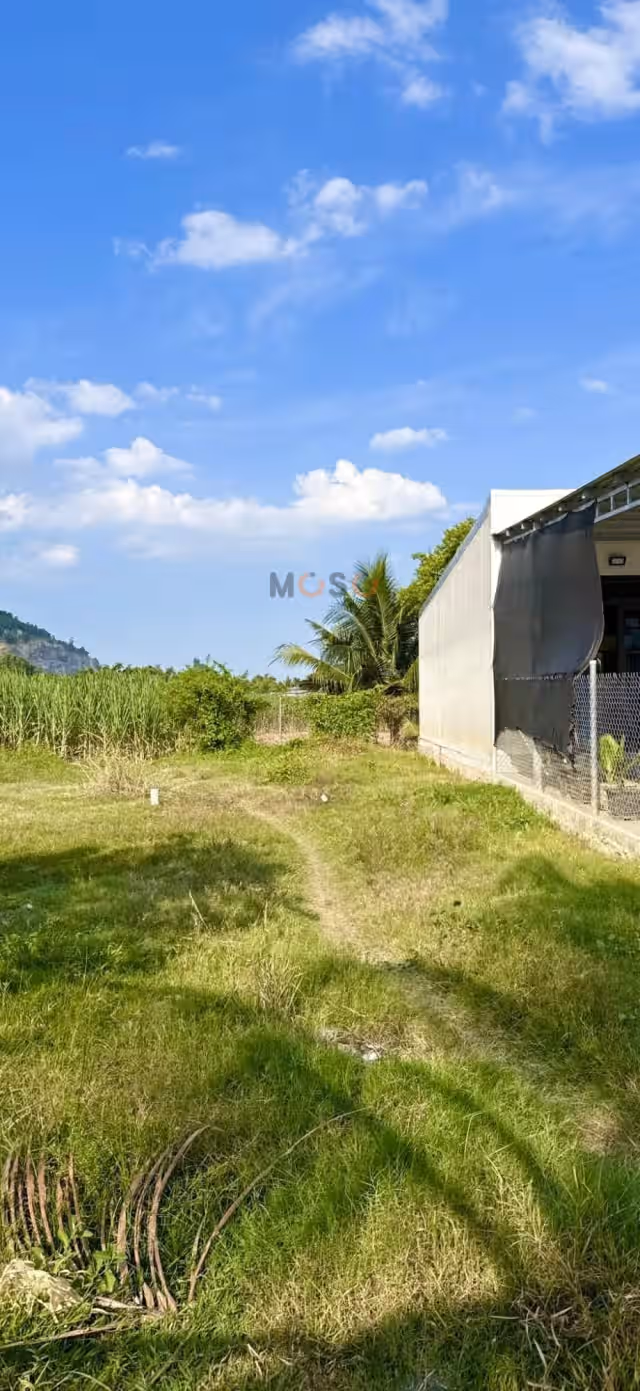 Bán đất đường DT8 Huyện Diên Khánh, Khánh Hòa – giá 1.1 tỷ