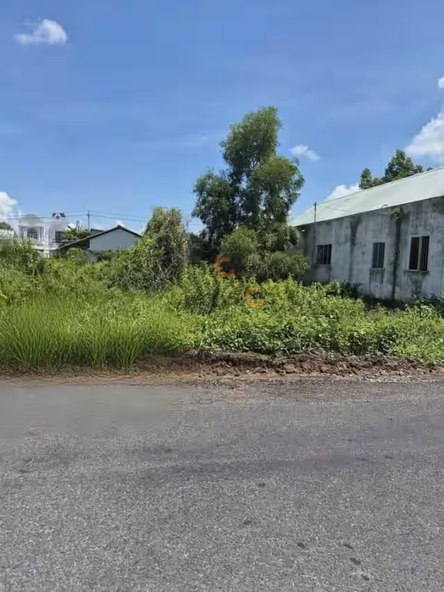Bán đất Nguyễn Văn Siêu Thành phố Tân An, Long An – giá 1.1 tỷ Bán đất Nguyễn Văn Siêu Thành phố Tân An, Long An – giá 1.1 tỷ