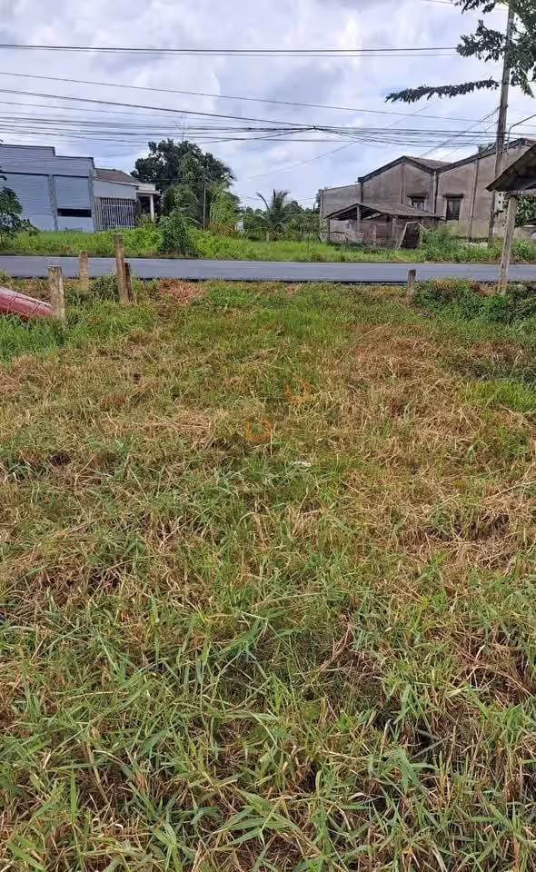 Bán đất đường Lộ Dừa Huyện Châu Thành, Long An – giá 1.4 tỷ