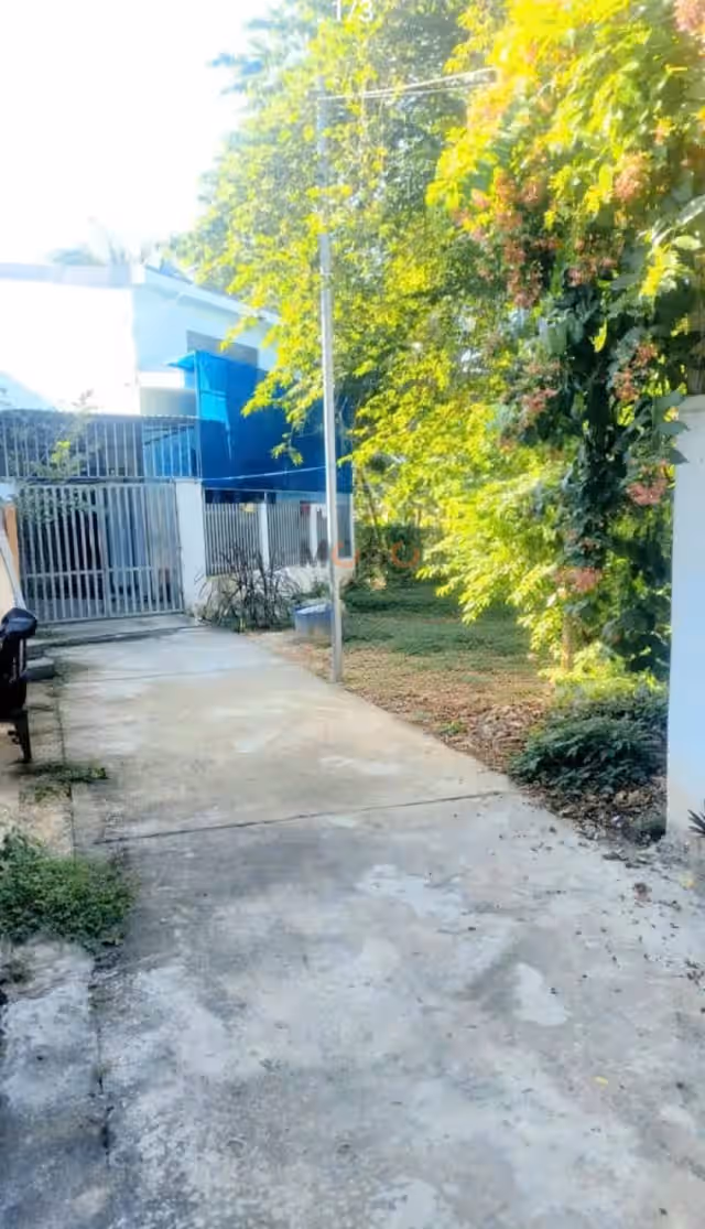 Bán đất thôn Phú Ân Nam 3 Huyện Diên Khánh, Khánh Hòa – giá 1 tỷ