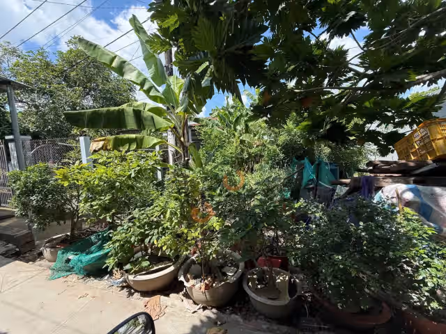 Bán đất hẻm đường Tạ Thị Phi Quận Bình Thuỷ, TP. Cần Thơ – giá 4.6 tỷ Bán đất hẻm đường Tạ Thị Phi Quận Bình Thuỷ, TP. Cần Thơ – giá 4.6 tỷ