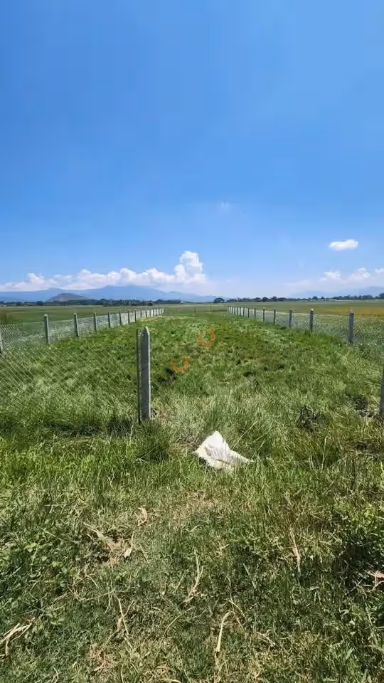 Bán đất hẻm Phan Đăng Lưu  Thành phố Phan Rang-Tháp Chàm, Ninh Thuận – giá 450 triệu
