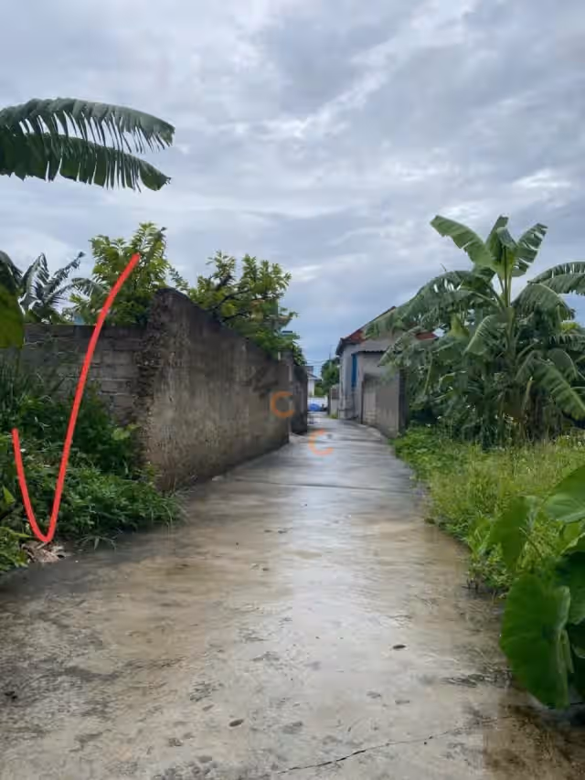 Bán đất Thôn Đông Thành phố Thuỷ Nguyên, TP. Hải Phòng – giá 899 triệu Bán đất Thôn Đông Thành phố Thuỷ Nguyên, TP. Hải Phòng – giá 899 triệu
