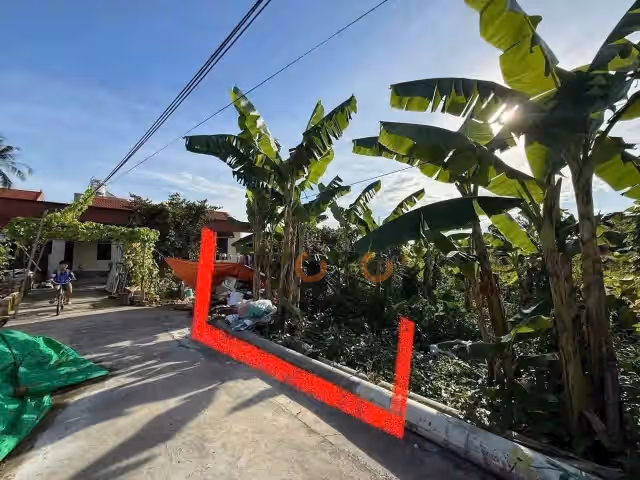 Bán đất Thôn Đường Đá Thành phố Thuỷ Nguyên, TP. Hải Phòng – giá 1.6 tỷ Bán đất Thôn Đường Đá Thành phố Thuỷ Nguyên, TP. Hải Phòng – giá 1.6 tỷ
