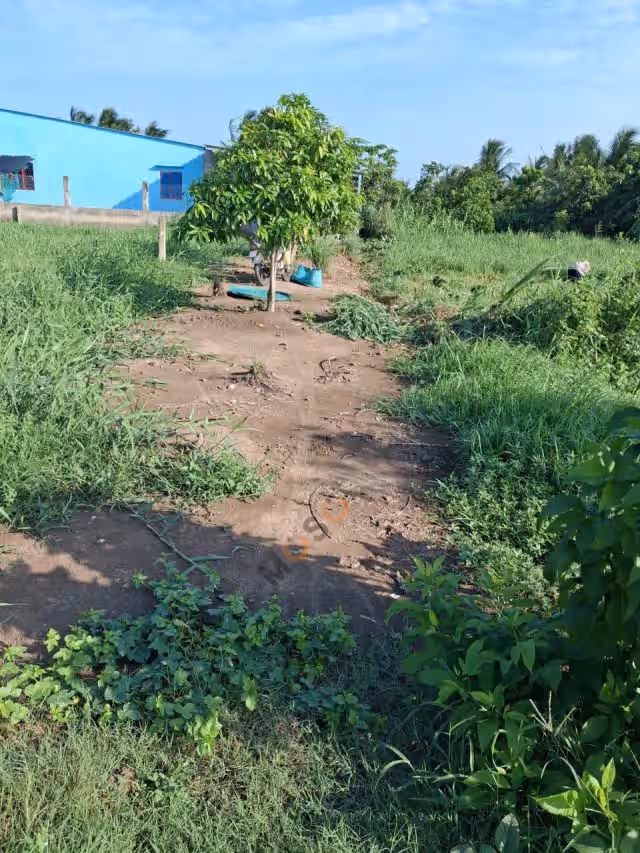 Bán đất Ấp Sơn Qui A Thành phố Gò Công, Tiền Giang – giá 590 triệu