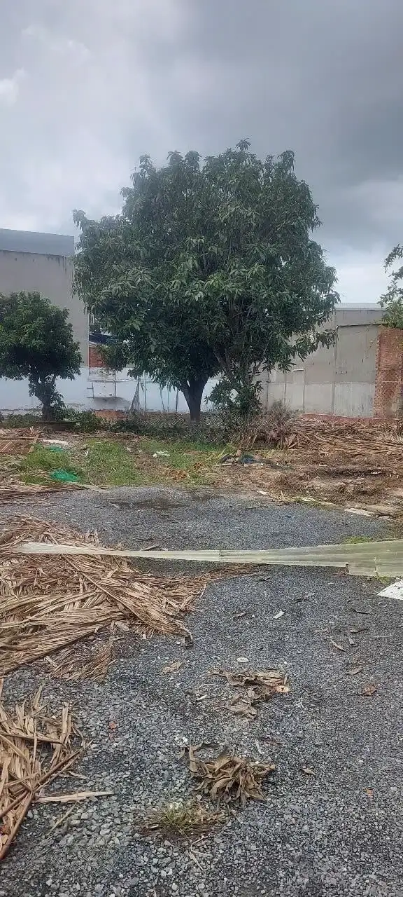 Bán đất hẻm 23 đường số 13 Thành phố Thủ Đức, TP.HCM – giá 19 tỷ