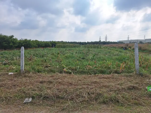 Bán đất Thửa 432 tờ 4, Ấp Phước Đức B Huyện Gò Dầu, Tây Ninh – giá 690 triệu