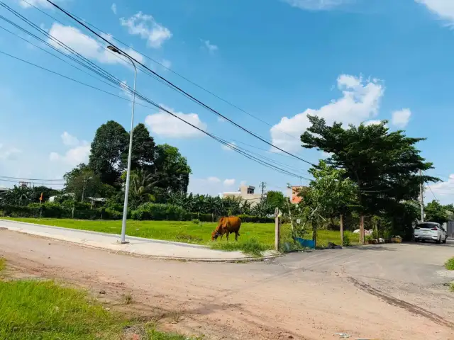 Bán đất Kênh Tiêu Huyện Hóc Môn, TP.HCM – giá 6.2 tỷ