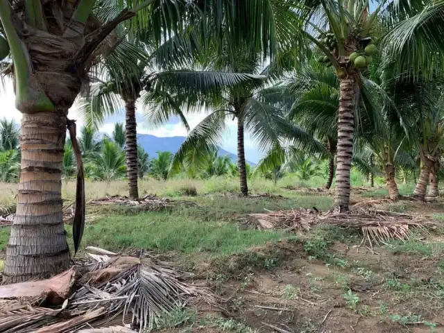 Bán đất Thôn Ninh Ích Thị xã Ninh Hòa, Khánh Hòa – giá 3.7 tỷ Bán đất Thôn Ninh Ích Thị xã Ninh Hòa, Khánh Hòa – giá 3.7 tỷ