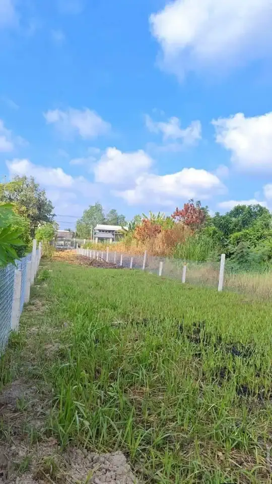 Bán đất Ấp Nhơn Lộc 1A Huyện Phong Điền, TP. Cần Thơ – giá 1.4 tỷ Bán đất Ấp Nhơn Lộc 1A Huyện Phong Điền, TP. Cần Thơ – giá 1.4 tỷ