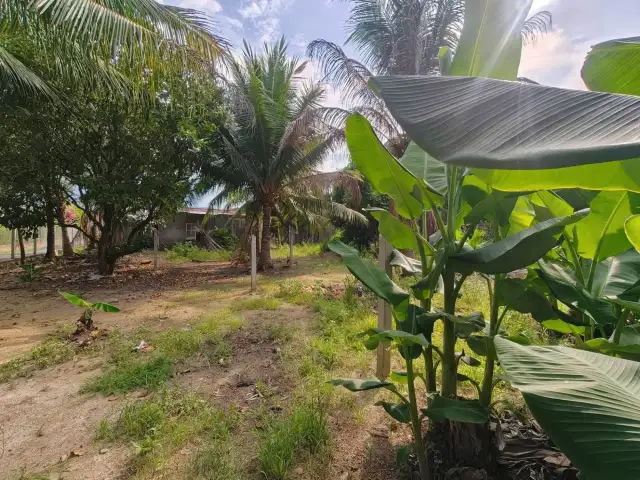 Bán đất Thôn Láng Nhớt Huyện Diên Khánh, Khánh Hòa – giá 440 triệu