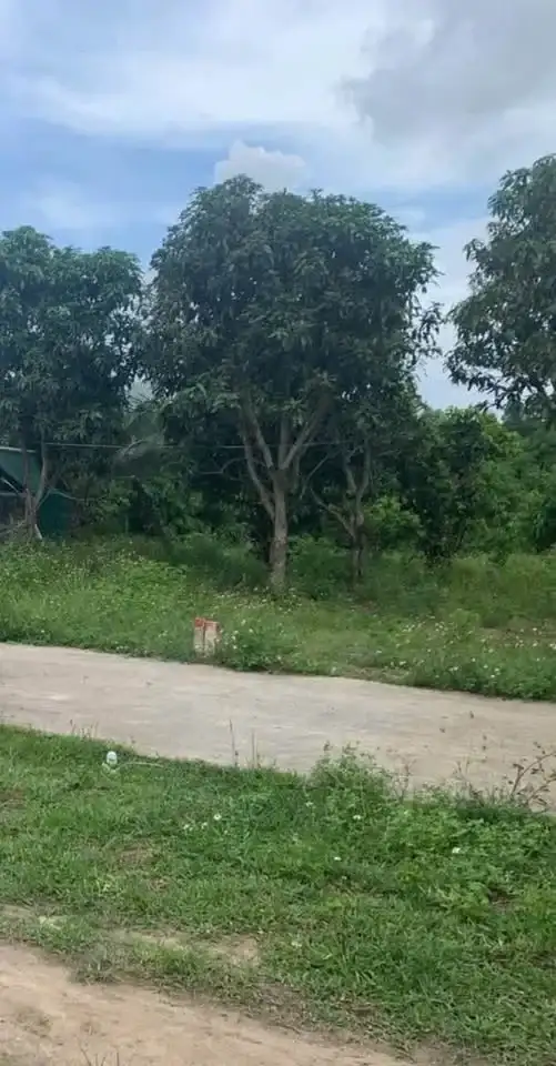 Bán đất thôn Xuân Phú Huyện Diên Khánh, Khánh Hòa – giá 380 triệu Bán đất thôn Xuân Phú Huyện Diên Khánh, Khánh Hòa – giá 380 triệu