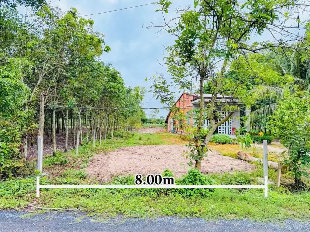 Bán đất hẻm đường Tỉnh Lộ 786 Huyện Bến Cầu, Tây Ninh – giá 520 triệu Bán đất hẻm đường Tỉnh Lộ 786 Huyện Bến Cầu, Tây Ninh – giá 520 triệu
