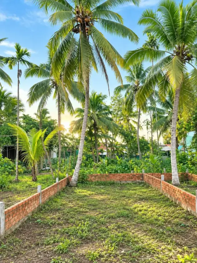 Bán đất Nguyễn Viết Xuân Quận Bình Thuỷ, TP. Cần Thơ – giá 850 triệu Bán đất Nguyễn Viết Xuân Quận Bình Thuỷ, TP. Cần Thơ – giá 850 triệu