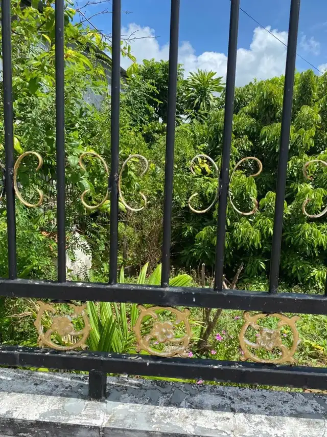 Bán đất Nguyễn Huệ Thành phố Vị Thanh, Hậu Giang – giá 499 triệu