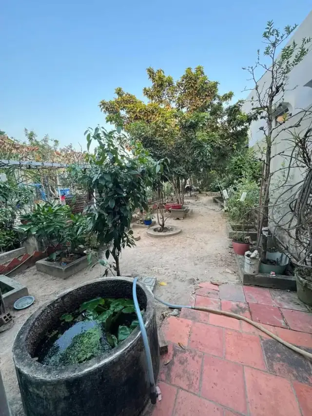 Bán đất hẻm đường Nguyễn Văn Lộng Thành phố Thủ Dầu Một, Bình Dương – giá 1.7 tỷ