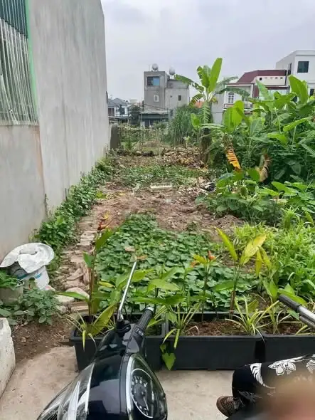 Bán đất Ngõ 100 Mai Độ Thành phố Hải Dương, Hải Dương – giá 1.5 tỷ Bán đất Ngõ 100 Mai Độ Thành phố Hải Dương, Hải Dương – giá 1.5 tỷ