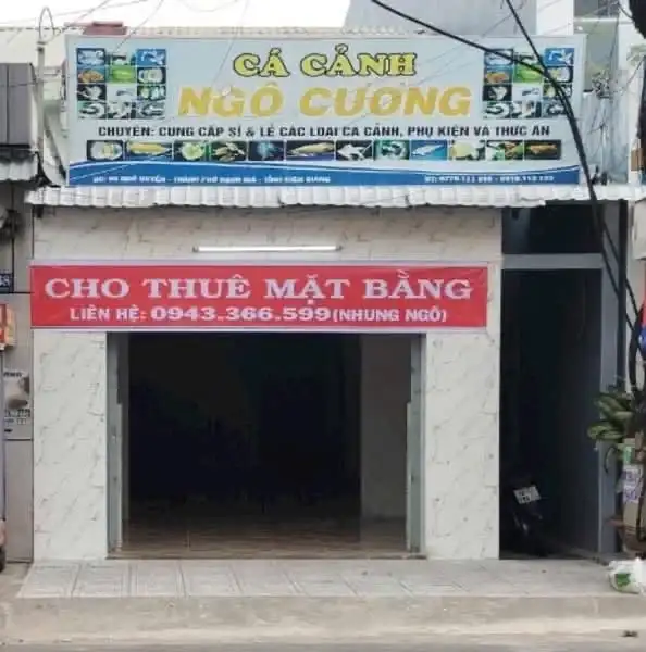 Bán nhà mặt tiền Ngô Quyền Thành phố Rạch Giá, Kiên Giang – 1 phòng ngủ, giá 5.2 tỷ Bán nhà mặt tiền Ngô Quyền Thành phố Rạch Giá, Kiên Giang – 1 phòng ngủ, giá 5.2 tỷ