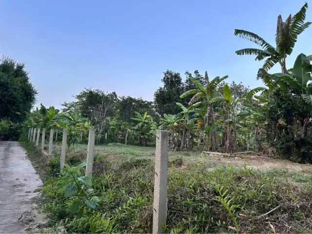 Bán đất Thôn Thái Lai Huyện Hòa Vang, TP. Đà Nẵng – giá 4.2 tỷ Bán đất Thôn Thái Lai Huyện Hòa Vang, TP. Đà Nẵng – giá 4.2 tỷ