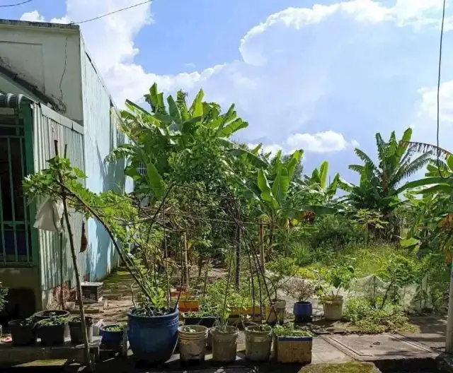 Bán đất đường N1 Thành phố Bến Cát, Bình Dương – giá 1.3 tỷ Bán đất đường N1 Thành phố Bến Cát, Bình Dương – giá 1.3 tỷ