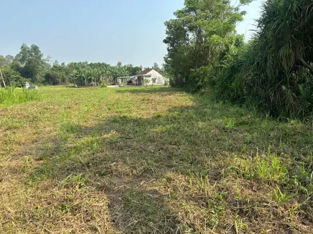 Bán đất ĐH 6, Thôn Mỹ Trà Huyện Thăng Bình, Quảng Nam – giá 690 triệu