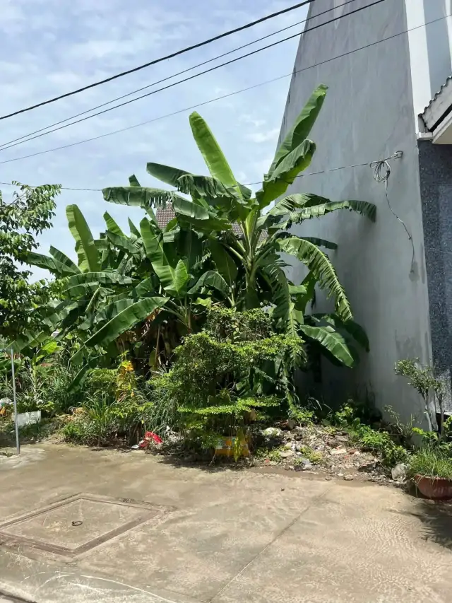 Bán đất đường Thống Nhất, Khu phố Hiệp Thắng Thành phố Dĩ An, Bình Dương – giá 5.2 tỷ