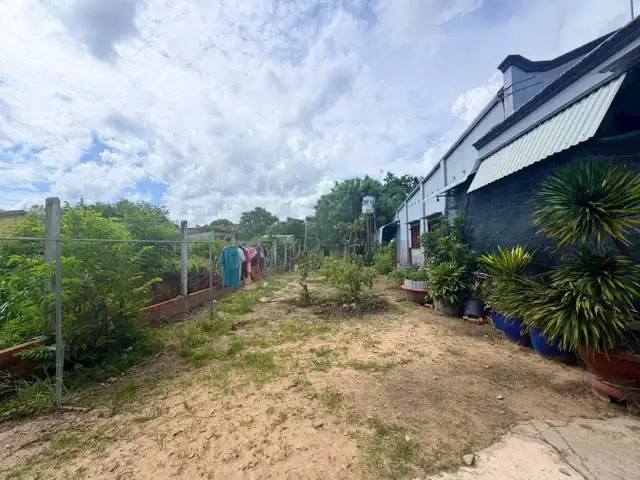 Bán đất thôn Cây Nính Huyện Gò Dầu, Tây Ninh – giá 290 triệu