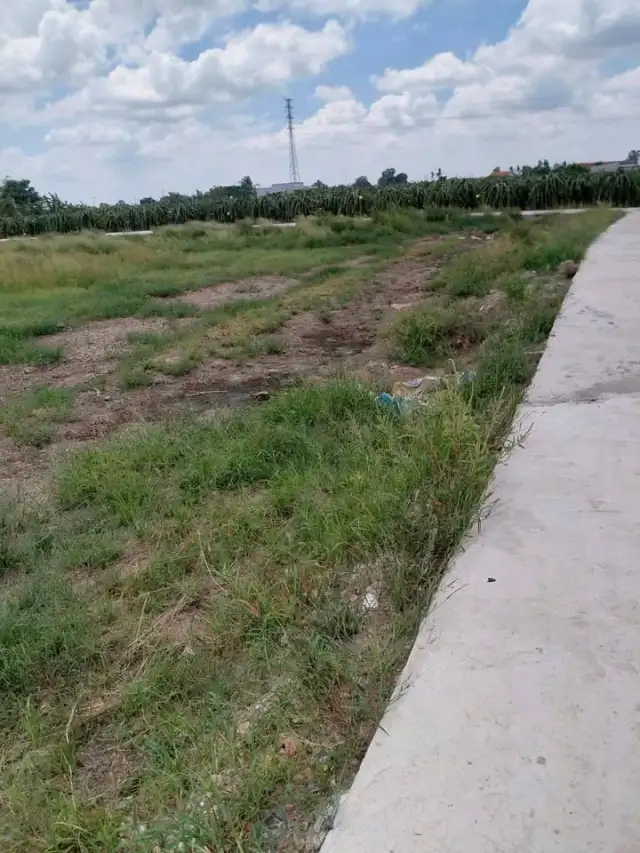 Bán đất Ấp Thanh Phú Long Huyện Châu Thành, Long An – giá 250 triệu